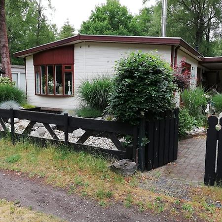 Villa Sfeervol, Ruim En Luxe Chalet In Bosrijke Omgeving Diessen Exterior foto